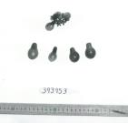 Click for 1 image(s) for this accession. FRUIT